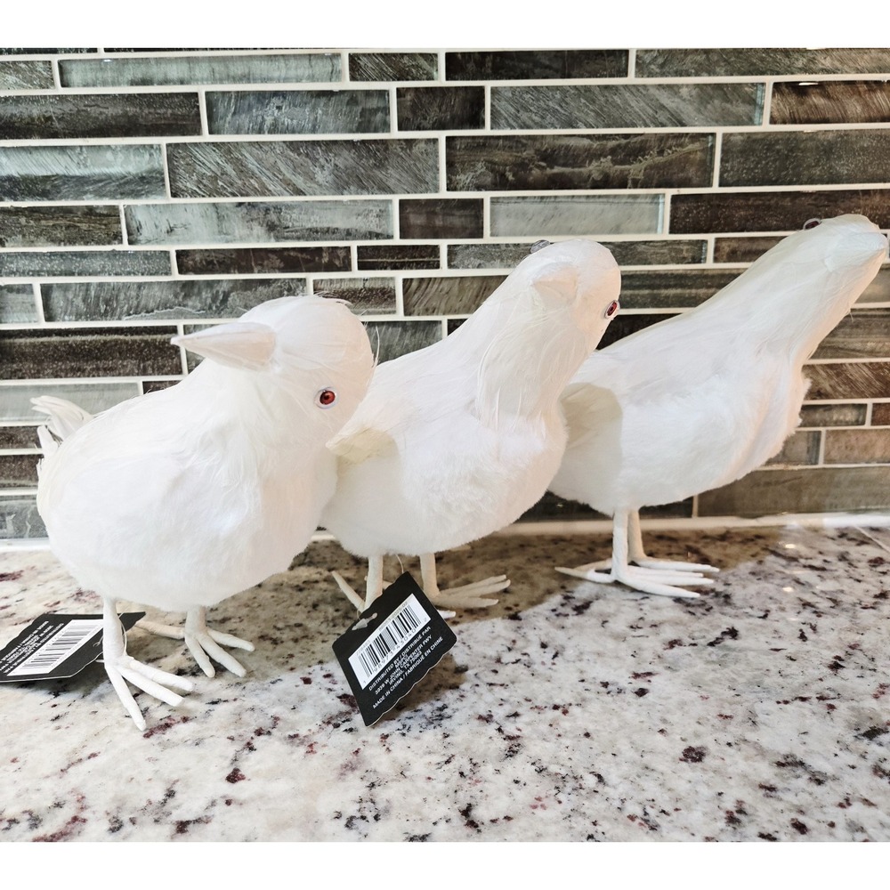 3 Rare White Crows Crow Raven Feathers Birds Halloween Ashland Props Decor READ